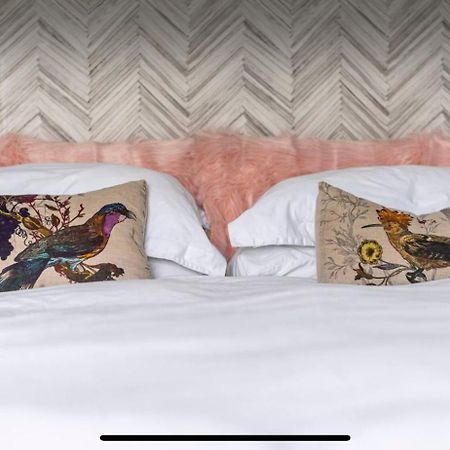Attractive Comfortable Room In Friendly House Hastings Ngoại thất bức ảnh