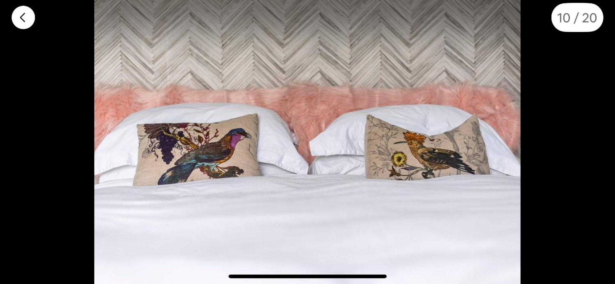 Attractive Comfortable Room In Friendly House Hastings Ngoại thất bức ảnh